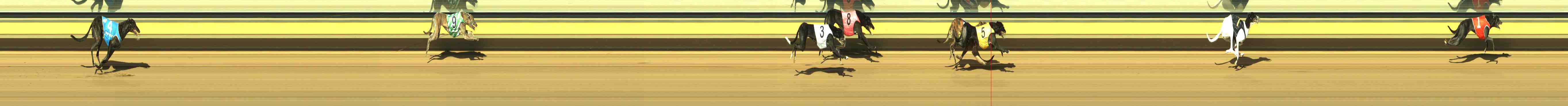 Photo finish for Horsham Race 5