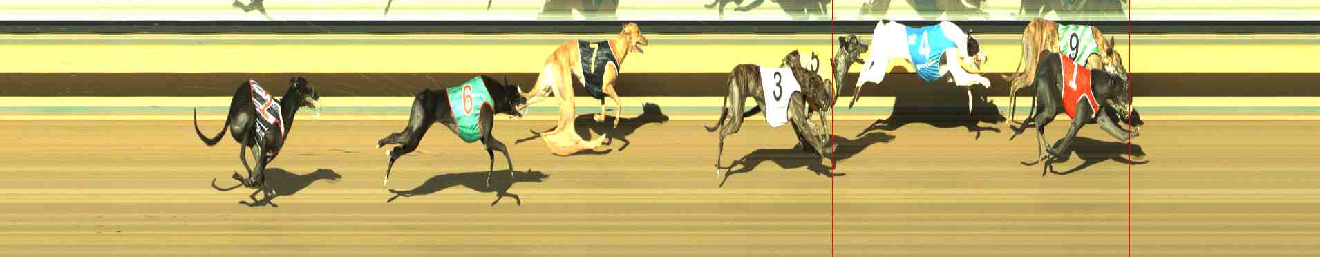 Photo finish for Horsham Race 7