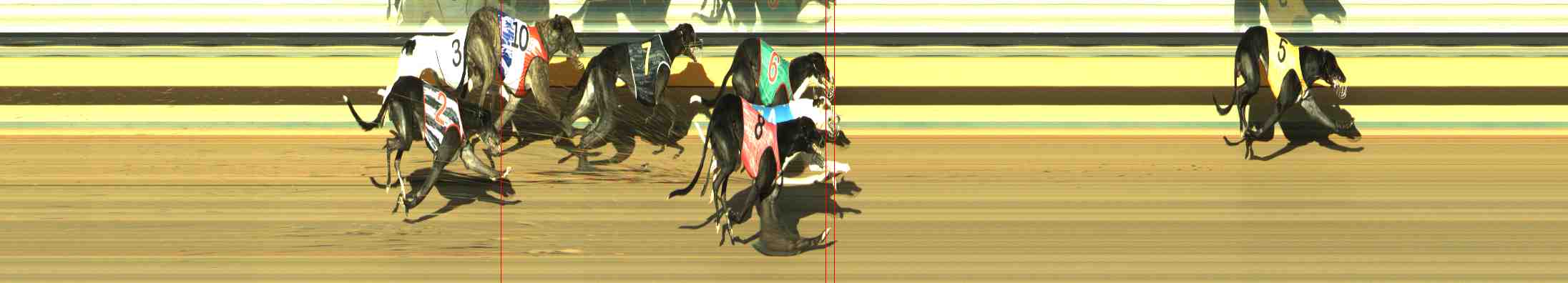Photo finish for Horsham Race 8