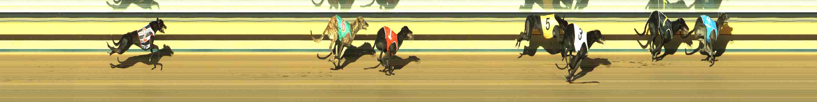 Photo finish for Horsham Race 9