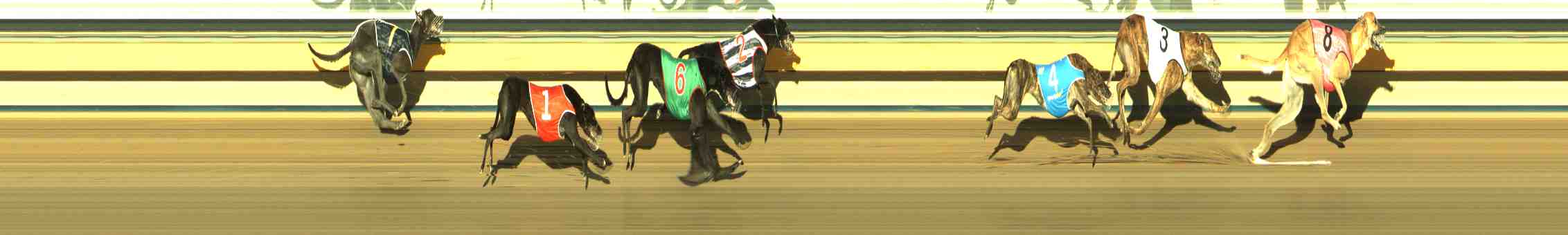 Photo finish for Horsham Race 10