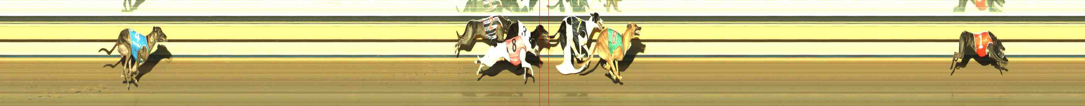 Photo finish for Horsham Race 11