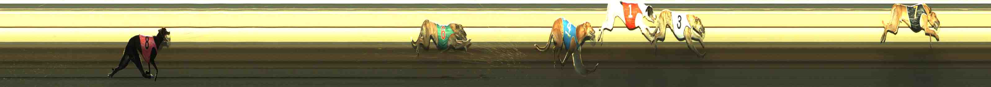 Photo finish for Horsham Race 12
