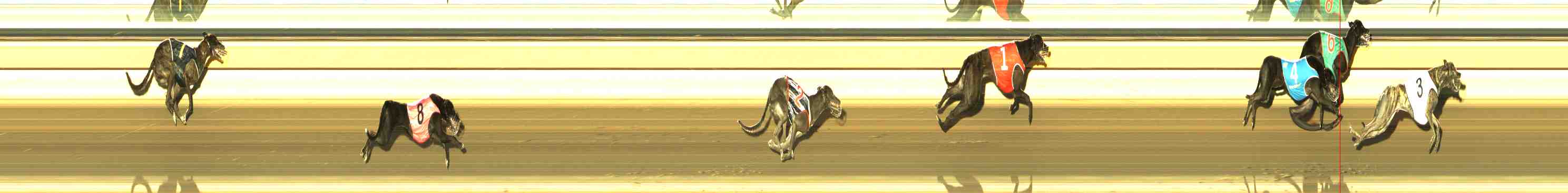 Photo finish for Horsham Race 1