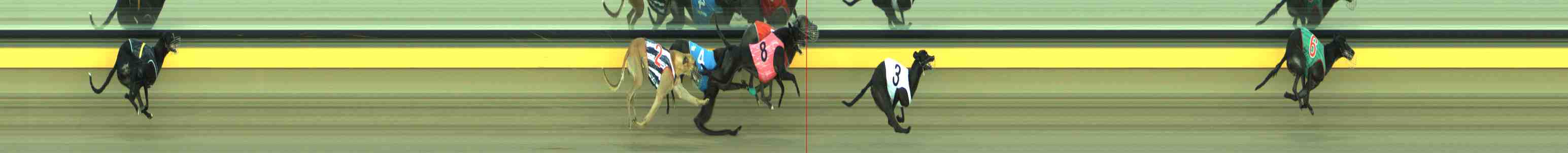 Photo finish for Horsham Race 3