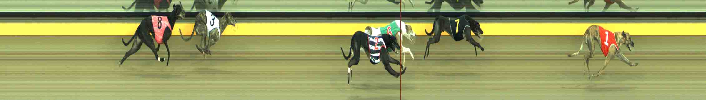 Photo finish for Horsham Race 4
