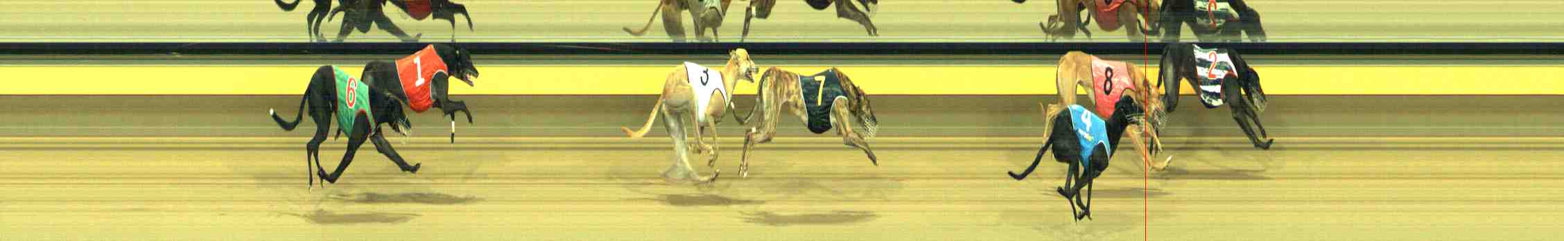 Photo finish for Horsham Race 5