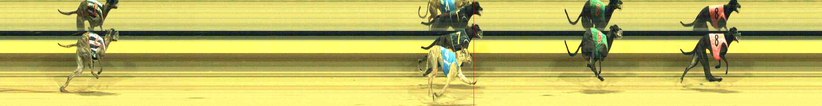 Photo finish for Horsham Race 6