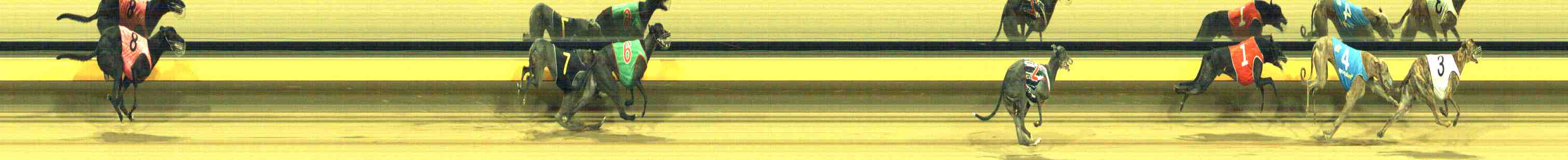 Photo finish for Horsham Race 8