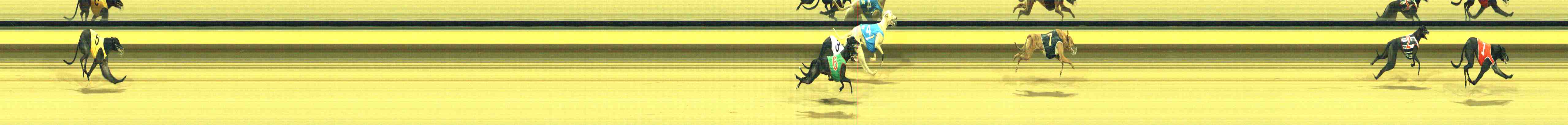 Photo finish for Horsham Race 9