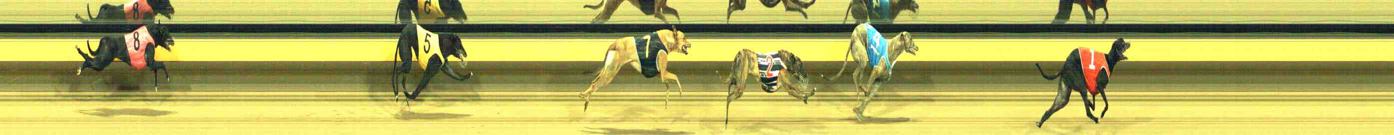 Photo finish for Horsham Race 10