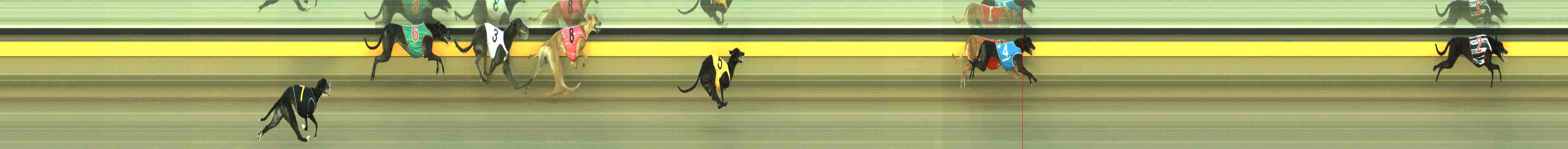 Photo finish for Horsham Race 1
