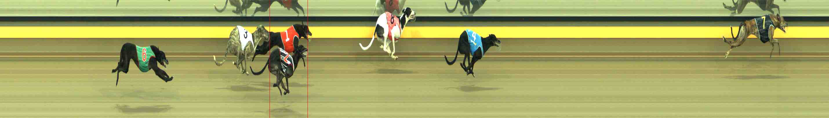 Photo finish for Horsham Race 3