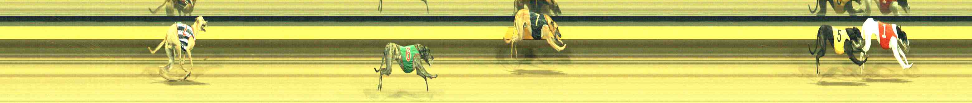 Photo finish for Horsham Race 5
