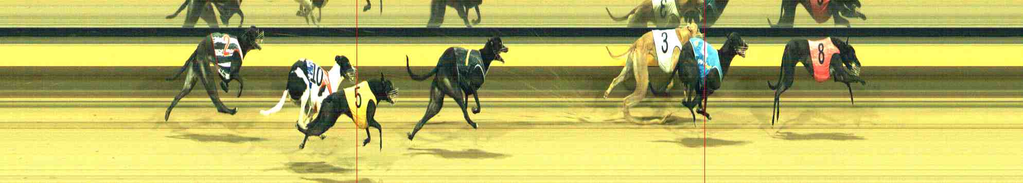 Photo finish for Horsham Race 6