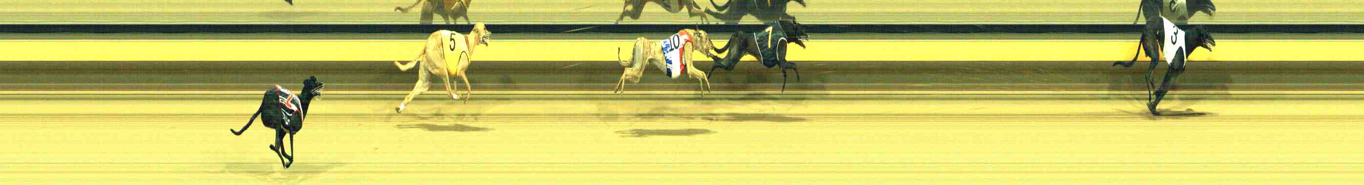 Photo finish for Horsham Race 7