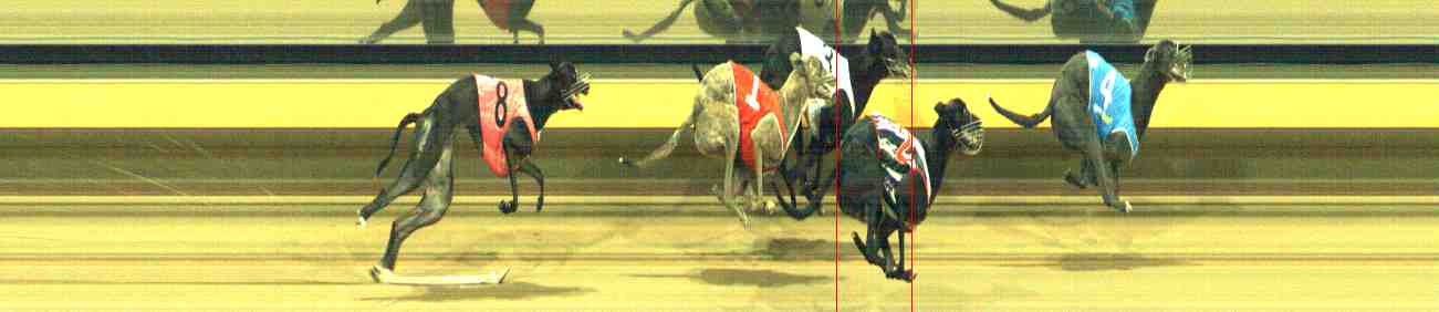 Photo finish for Horsham Race 9