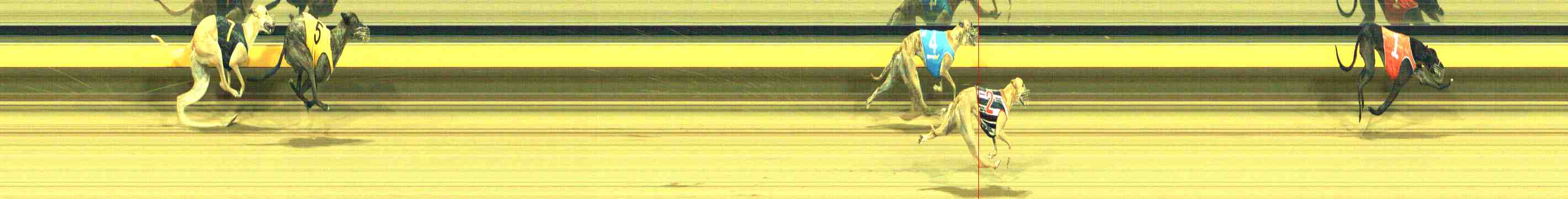 Photo finish for Horsham Race 10