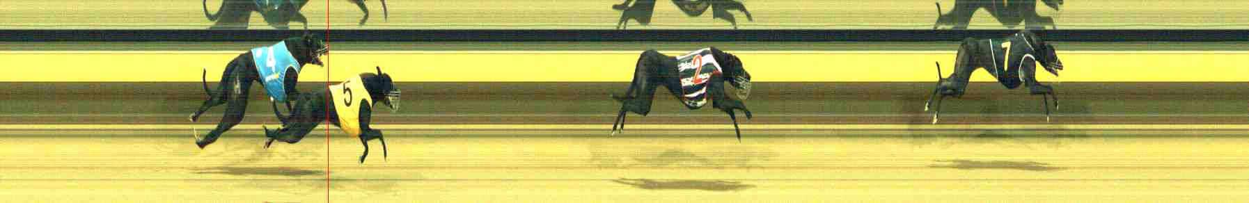 Photo finish for Horsham Race 11
