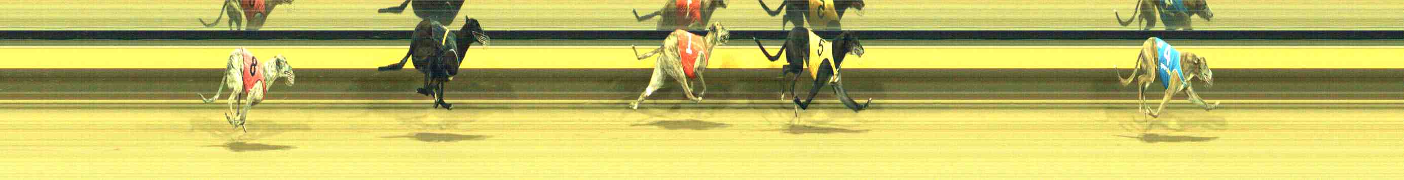 Photo finish for Horsham Race 12