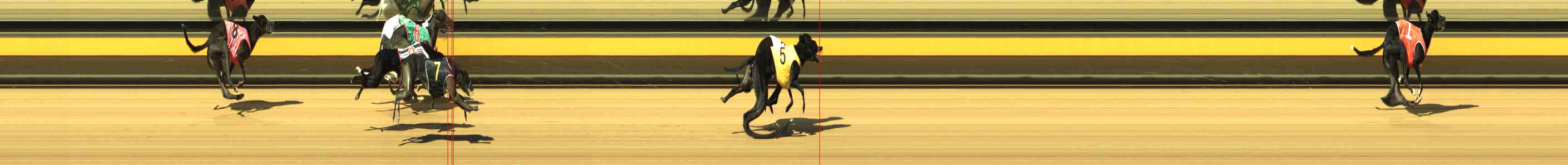 Photo finish for Horsham Race 2
