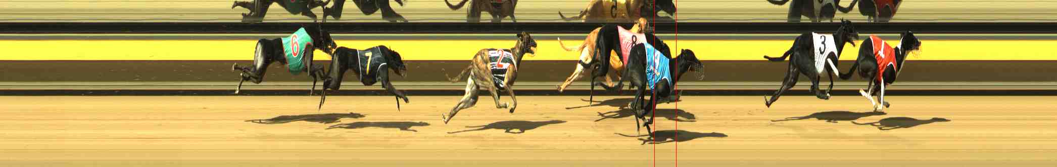 Photo finish for Horsham Race 3