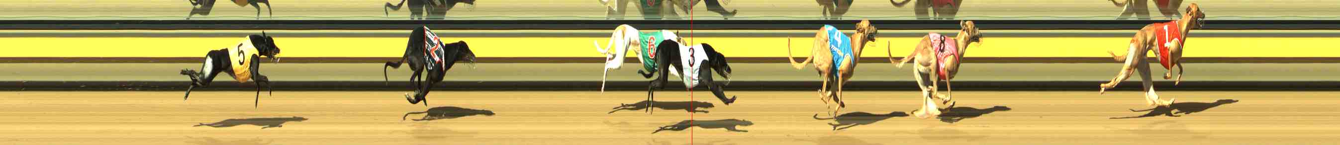 Photo finish for Horsham Race 4
