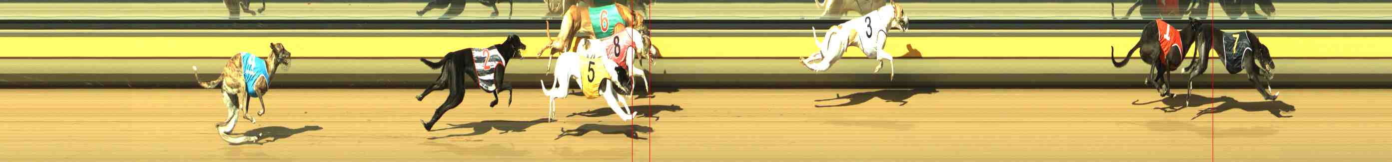 Photo finish for Horsham Race 5