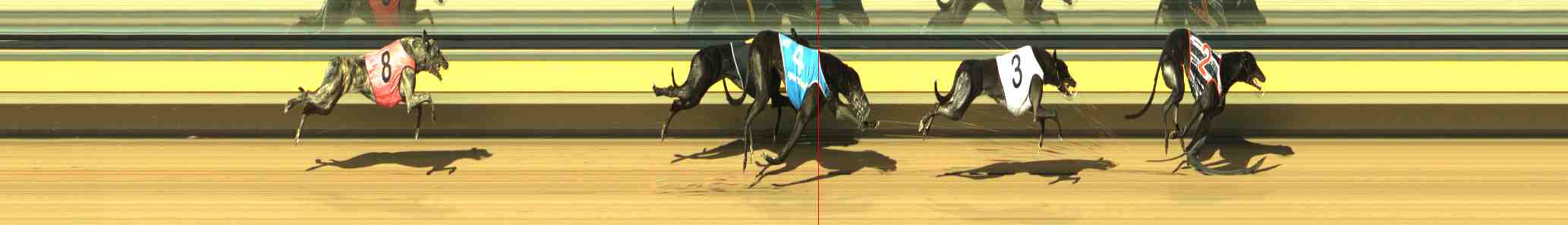 Photo finish for Horsham Race 6