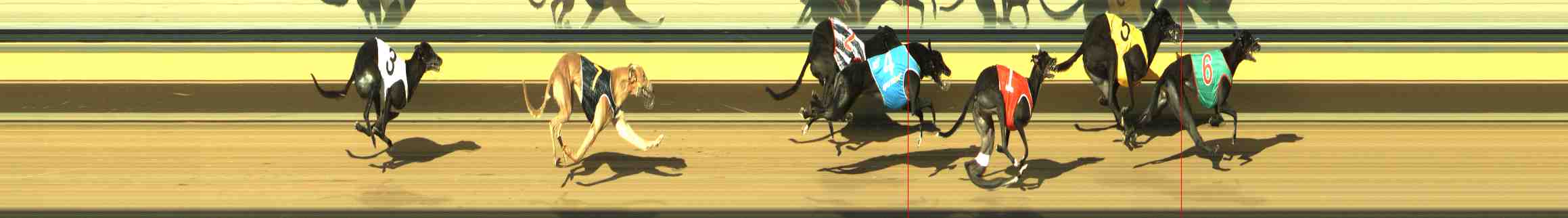 Photo finish for Horsham Race 7