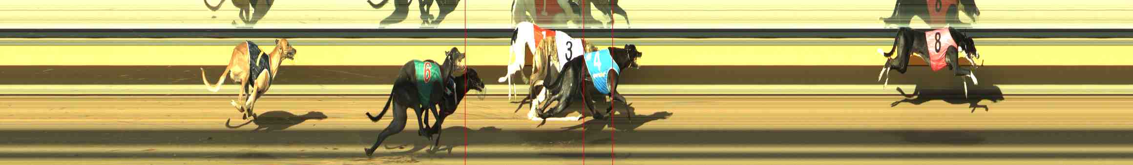 Photo finish for Horsham Race 8