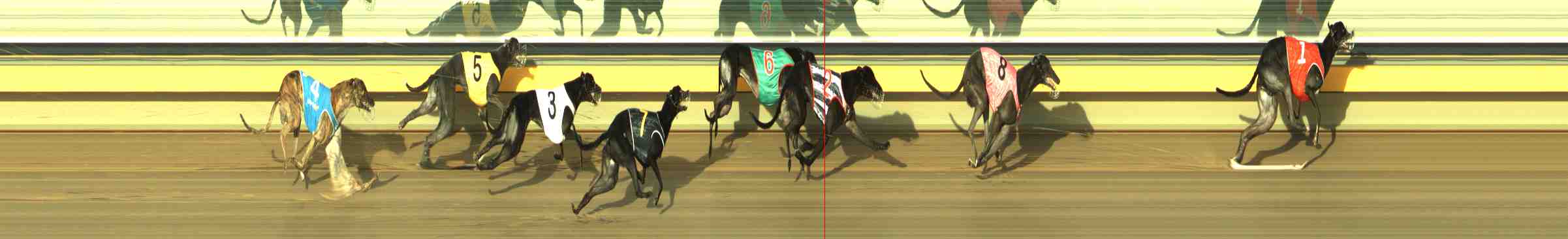 Photo finish for Horsham Race 11