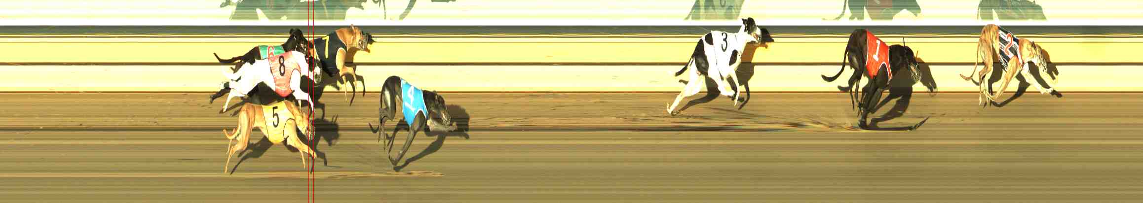 Photo finish for Horsham Race 12
