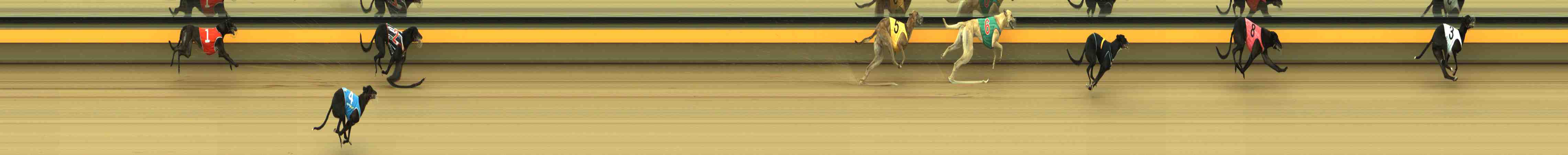 Race result finish photo