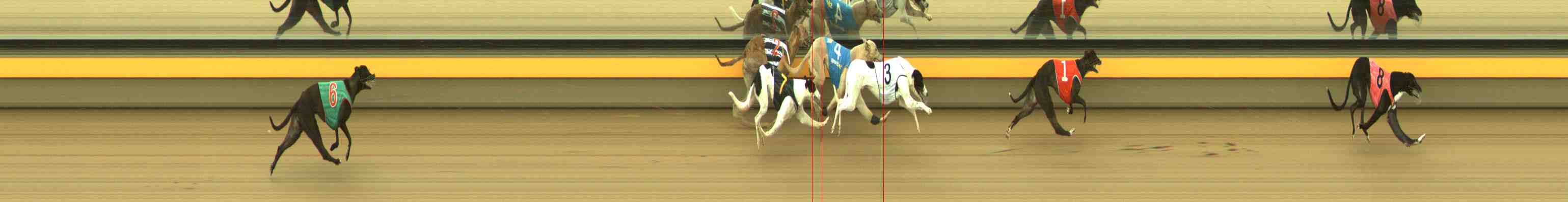 Photo finish for Horsham Race 2