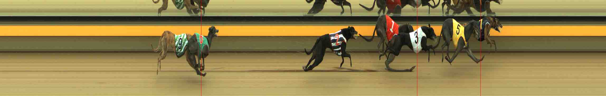 Photo finish for Horsham Race 3