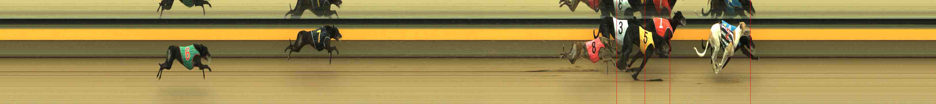 Photo finish for Horsham Race 4