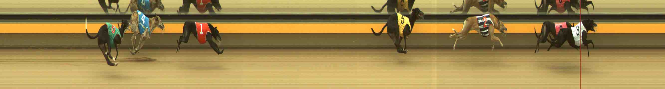Photo finish for Horsham Race 5