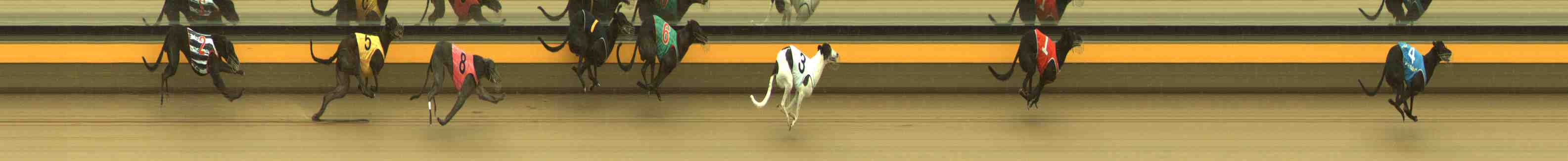 Photo finish for Horsham Race 6