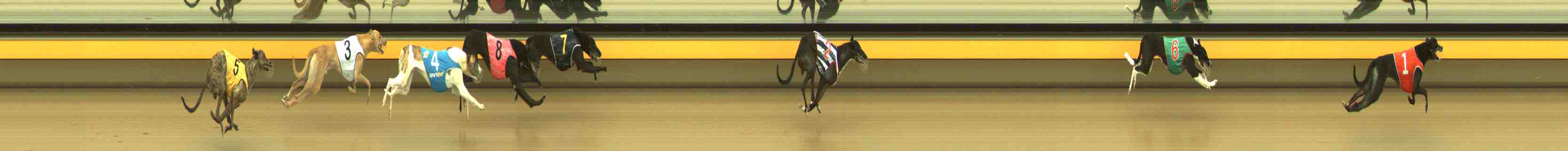 Photo finish for Horsham Race 7