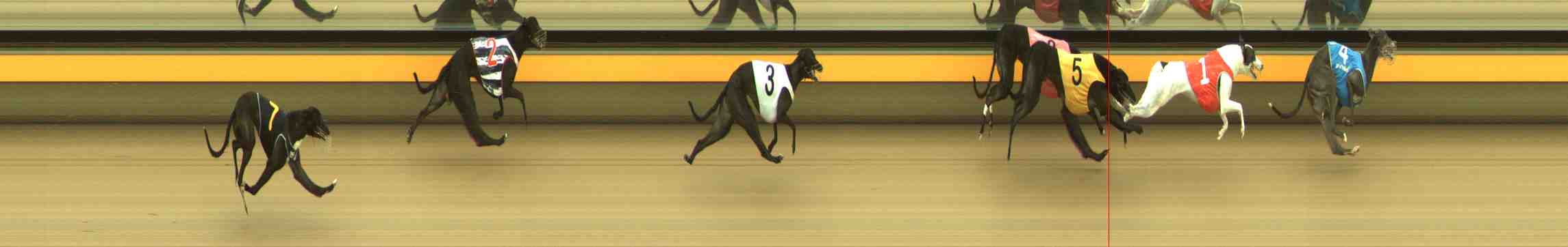 Photo finish for Horsham Race 8