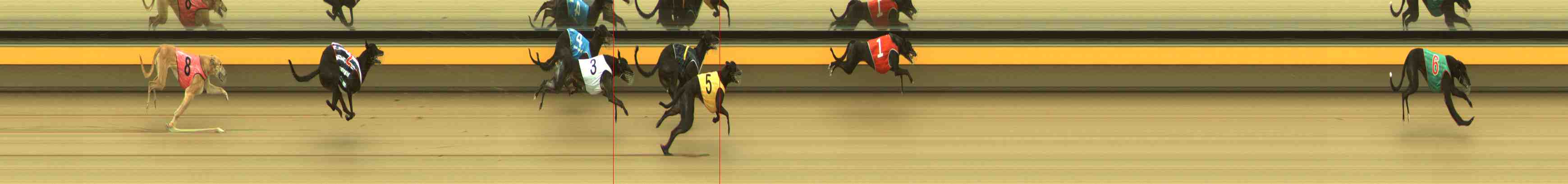 Photo finish for Horsham Race 9