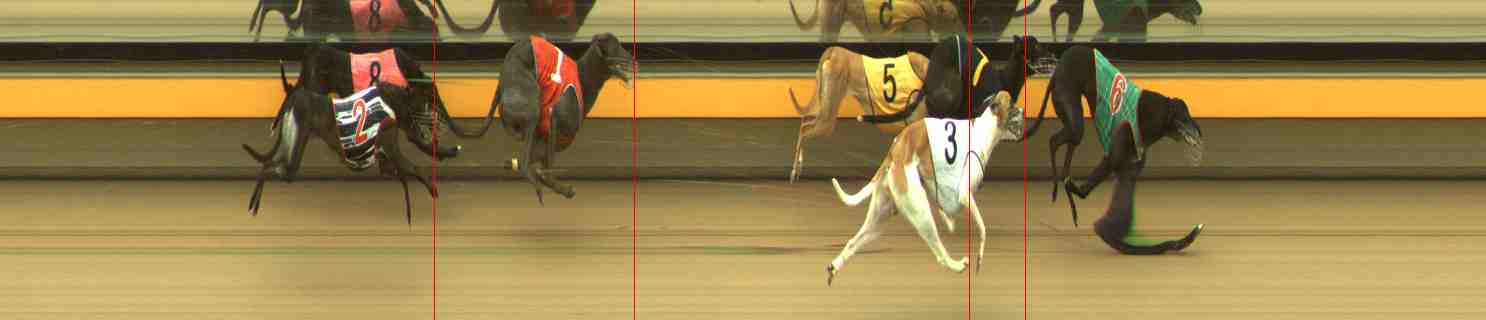 Photo finish for Horsham Race 10