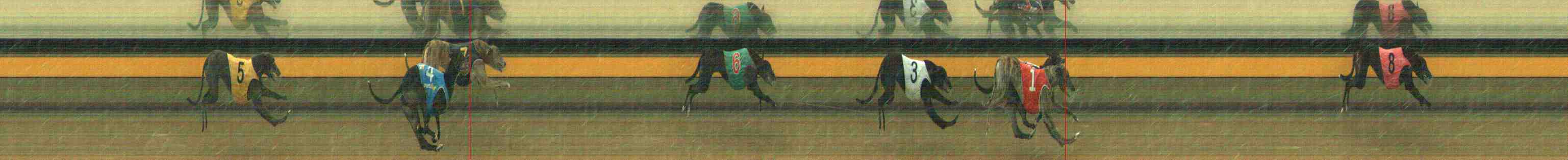 Photo finish for Horsham Race 11