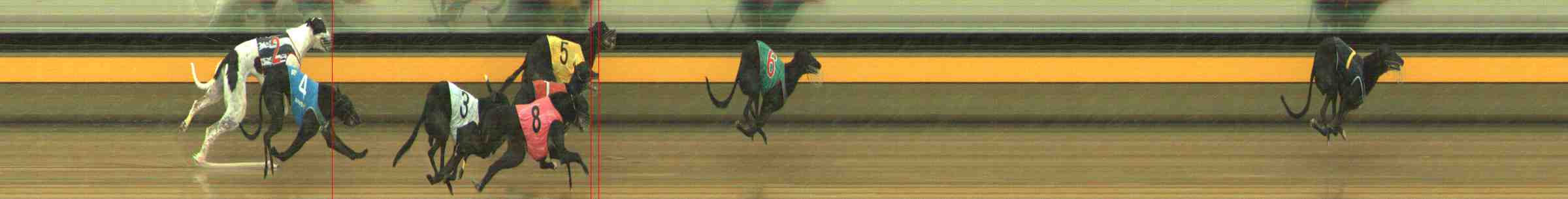 Photo finish for Horsham Race 12
