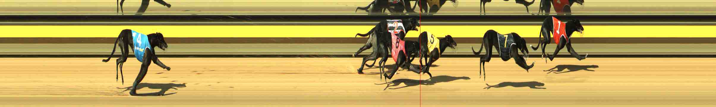 Photo finish for Horsham Race 2