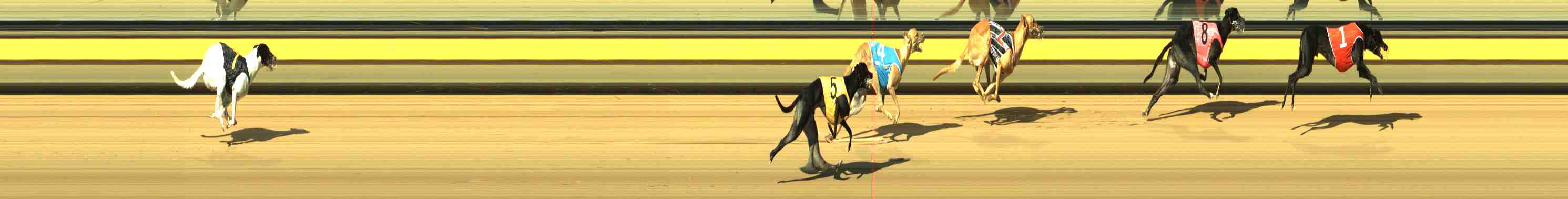 Photo finish for Horsham Race 3