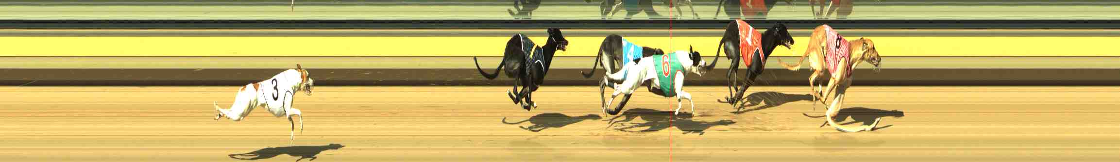 Photo finish for Horsham Race 4