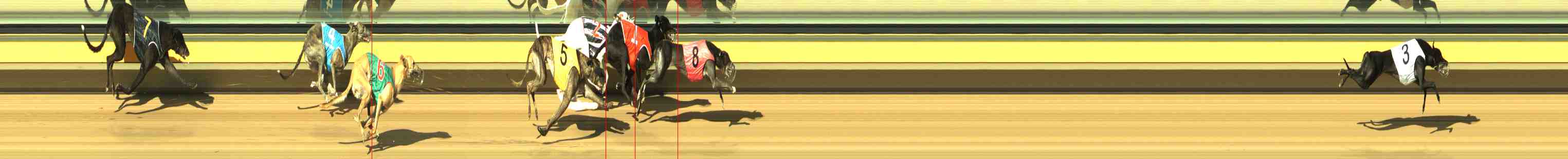 Photo finish for Horsham Race 5