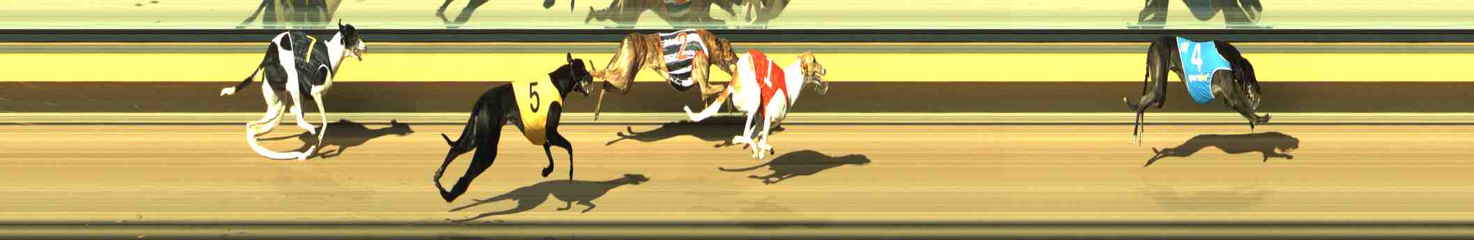 Photo finish for Horsham Race 6